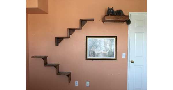 Cat steps for wall best sale