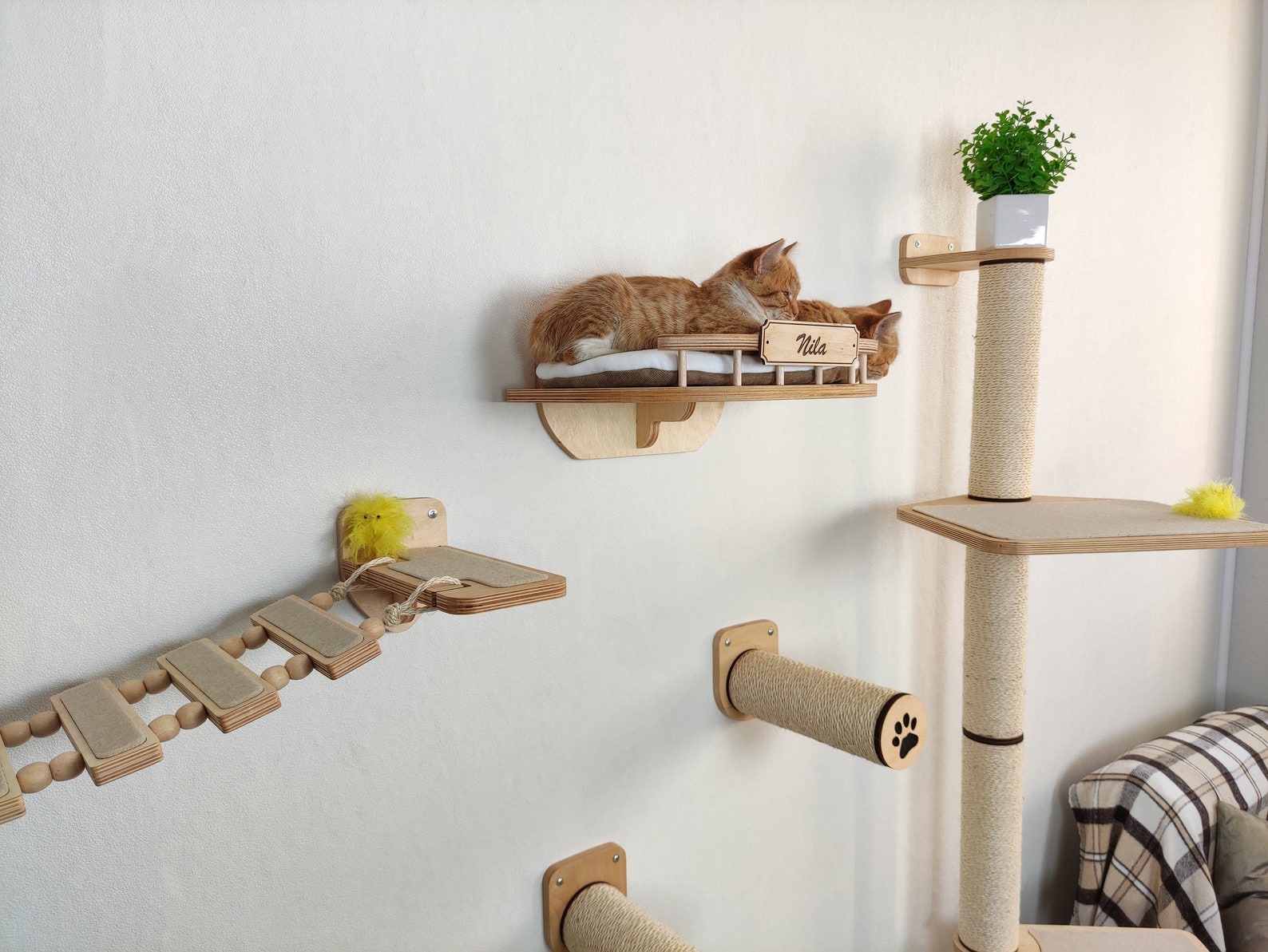 Deluxe Cat Wall Shelf & Climbing System - CatWallShelves Superstore